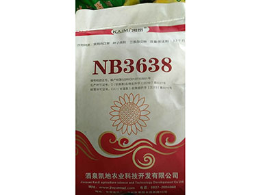 凱蜜【NB3638】